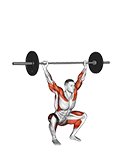 Strength Level Calculator for Barbell Snatch