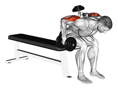Dumbbell Kickback Mastery: Perfecting the Seated Bent Over A