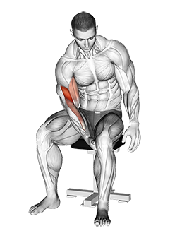 Legs biceps sale