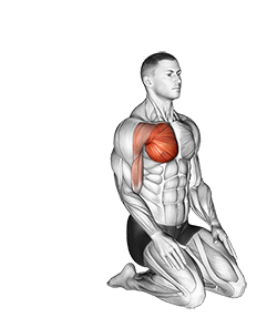 How To Do Reverse Chest Stretch