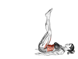 Leg Raise Hip Lift