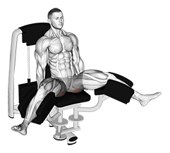 Lever Seated Hip Adduction