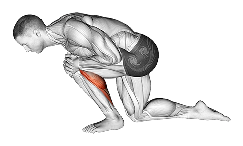 Half Kneeling Calf Stretch  B3 Physical Therapy 