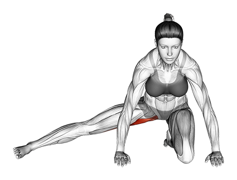 Kneeling Leg Out Adductor Stretch - Video Guide