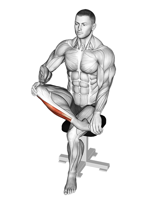 Mobilization Of Ankle Stretch
