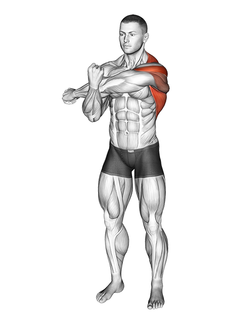 Across Chest Shoulder Stretch