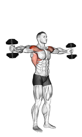 Dumbbell Standing Around World - Video Guide
