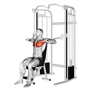 Seated bench press: How to do this exercise?