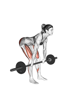 Barbell Romanian Deadlift