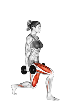 Dumbbell Rear Lunge