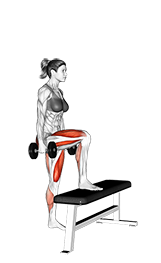 Dumbbell Step Up