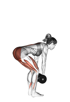 Dumbbell Romanian Deadlift