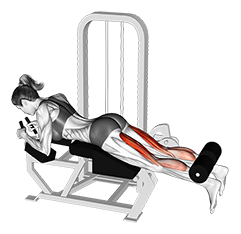 How to do a Lying Leg Curl 