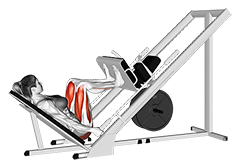 Lever Seated Leg Press - Video Guide