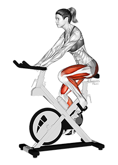 Stationary Bike Run