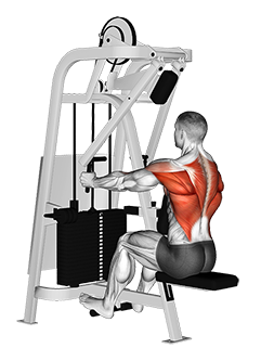 Lever Seated Row