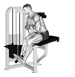 Lever Back Extension