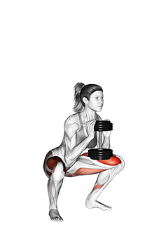 Dumbbell Goblet Squat