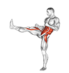 Front Snap Kick. Kickboxing