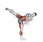 Spin Hook Kick. Kickboxing