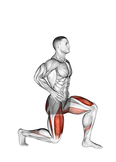 Split Squats