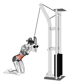 Cable Kneeling Crunch