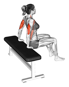 Bench Dip