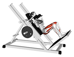 Sled Hack Squat