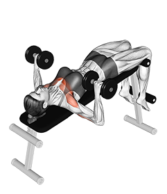 Dumbbell Decline Bench Press Video Guide Lyfta