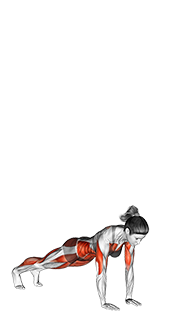Burpee