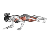 Front Plank to Push up