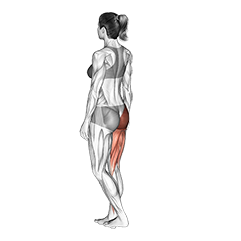 Single Leg Bodyweight Deadlift With Arm And Leg Extended