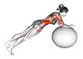 Stability Ball Rounded Rollout