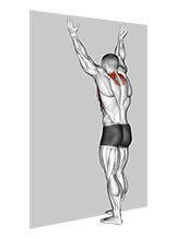 Forearm Wall Slide