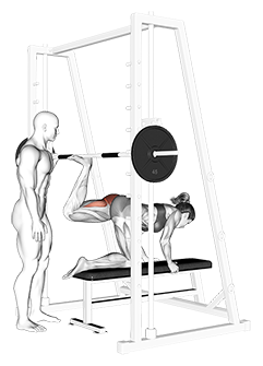 Smith machine hyperextension hot sale