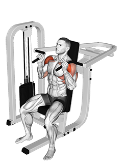 Lever Seated Hammer grip Shoulder Press