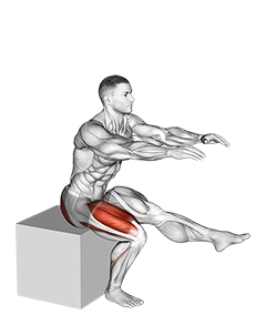 Intermediate Exercises for Pistol Squats Lower Body Corrective for Balance  and Stability