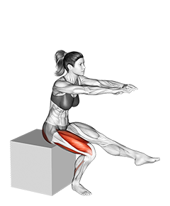 Pistol Squat  Illustrated Exercise Guide