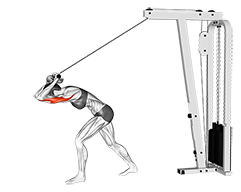 mujer haciendo ejercicio de tríceps de cuerda de cable hacia abajo o de  empuje. ilustración vectorial plana aislada sobre fondo blanco 16137875  Vector en Vecteezy