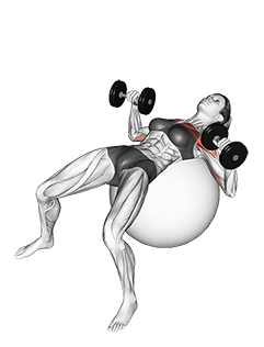 Bench press on online exercise ball