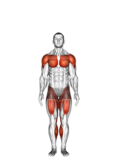 Front jacks online exercise