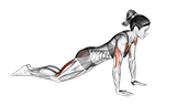 Kneeling Push up to Child Pose