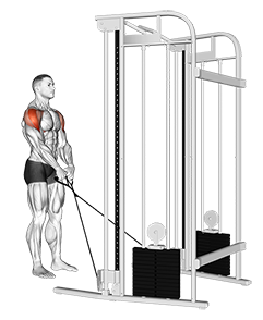 Cable Y-raise
