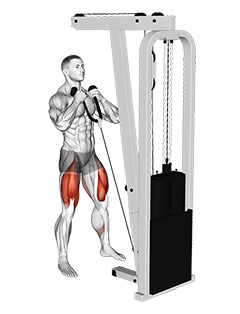 Cable squat deals