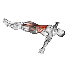 Lying Leg Hip Raise on Floor