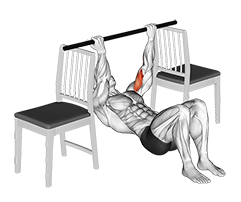 Inverted Chin Curl with Bent Knee between Chairs