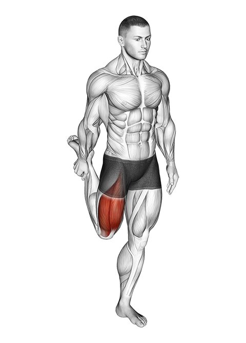 Standing Balance Quadriceps Stretch