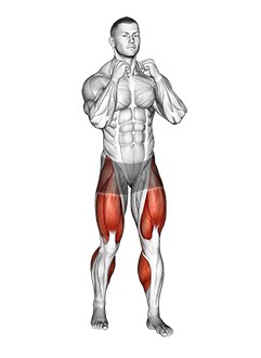 Boxer Shuffle