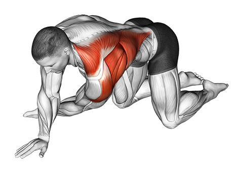 Kneeling T-Spine Mobility Stretching