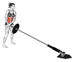 Landmine 180